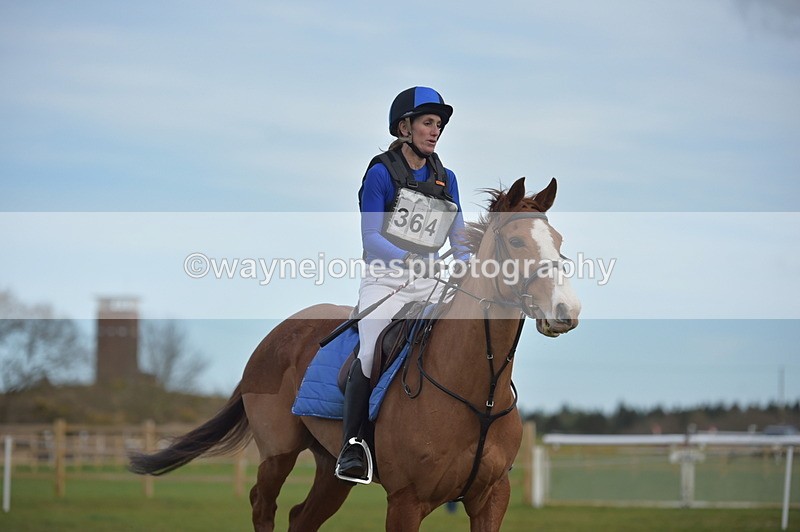 NGP_3923 - Time 15:46 to 16:17