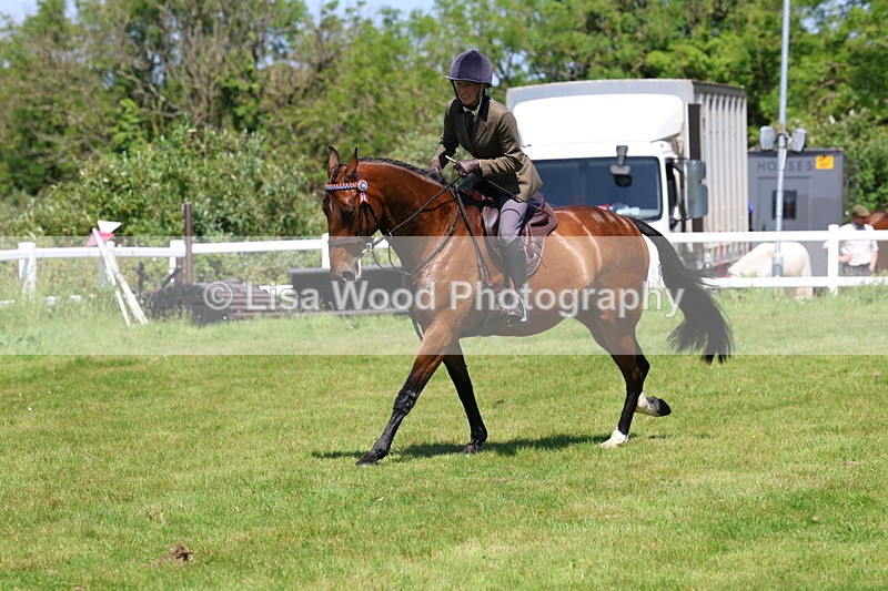 3E7A7526 - Class 31: Working Hunter Cob/Riding Horse
