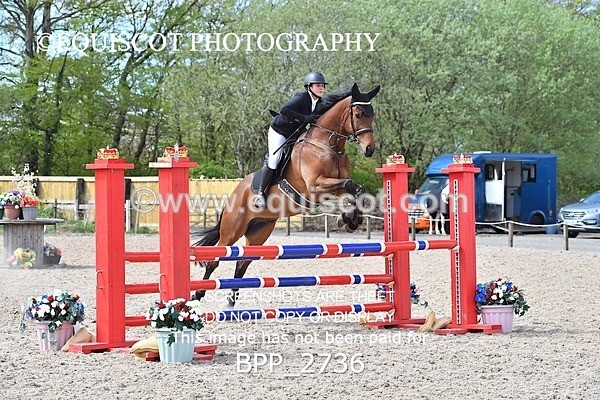 BPP_2736 - FRI CLASS 4 95CM AM CHAMP QUAL