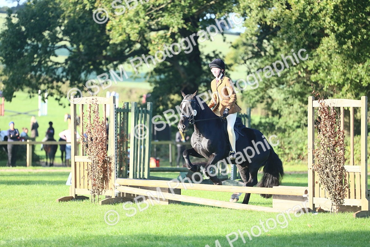 SBM_37334 - S29 - Novice & Newcomers Working Hunter Pony