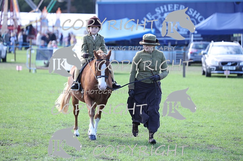 APP_3912 - Class 13 Lead rein