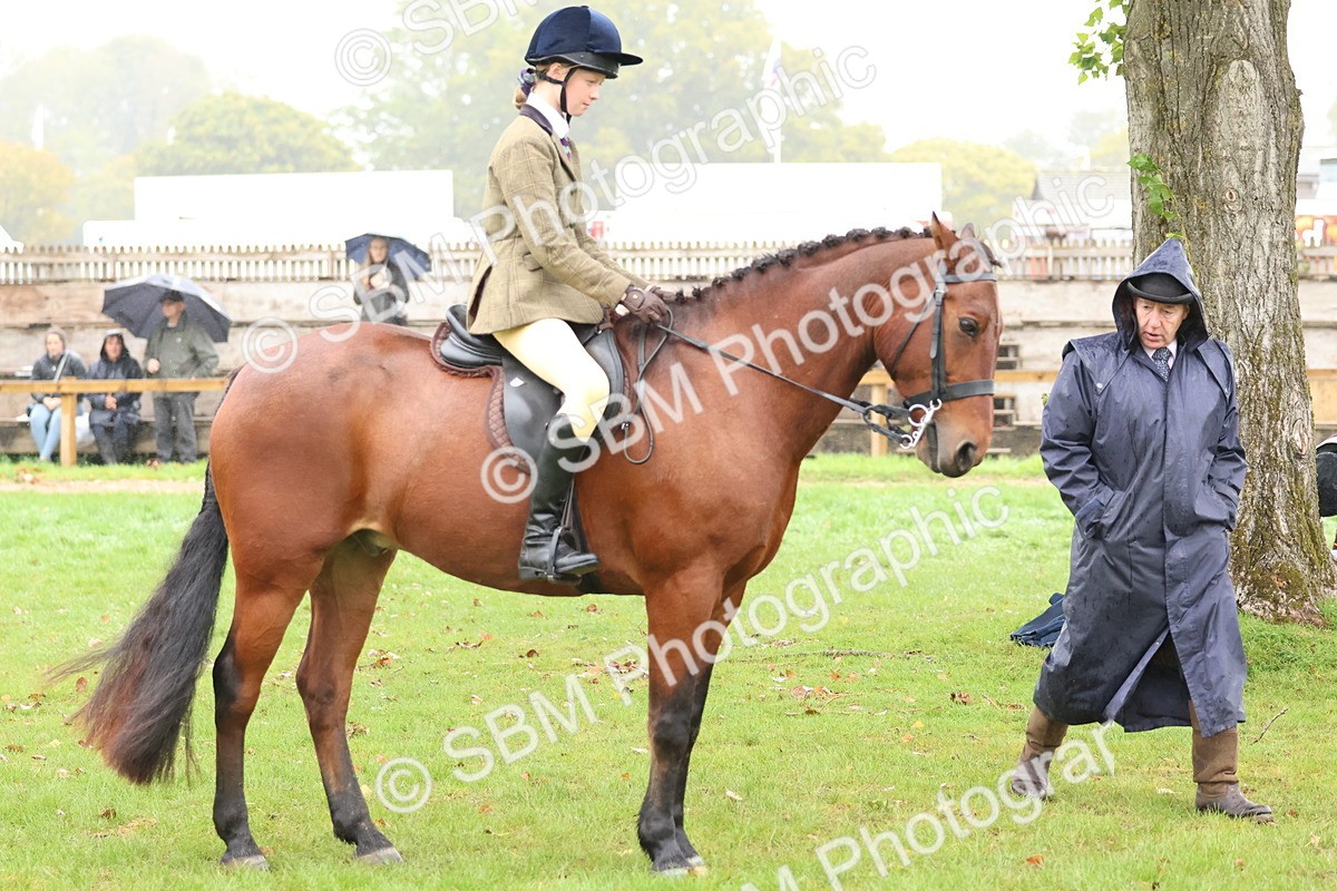 SBM_73011 - S63 Show Pony & Show Hunter Pony Ridden