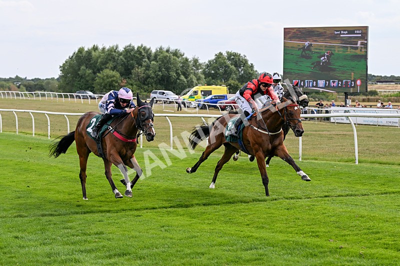 260826-Race 1-Mugheer-2142 - Race 1 14:15 Yorkshire Dales Distillery / EBF Restricted Maiden Stakes