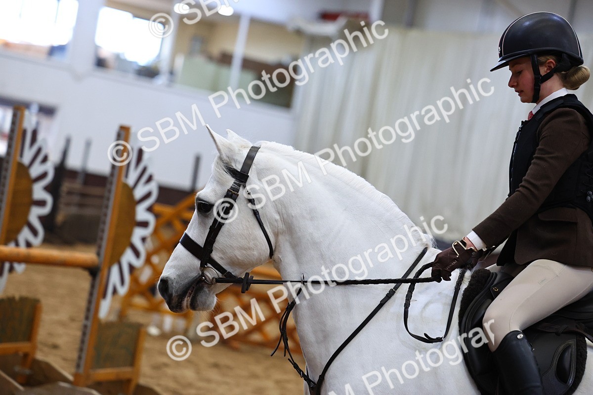 SBM_006488 - Class 43 - RIHS Qualifier Exceeding 43cms