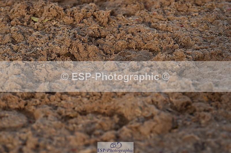 231104A-145748-02233 - Cls 10 Medium 61