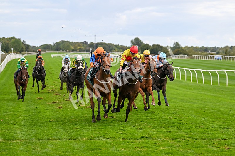 021024-Race 5-Homer Stokes-9542 - Race 5