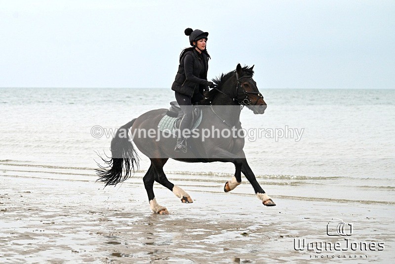WJ7_9025 - Hayling Island Beach Shoot 22-09-24