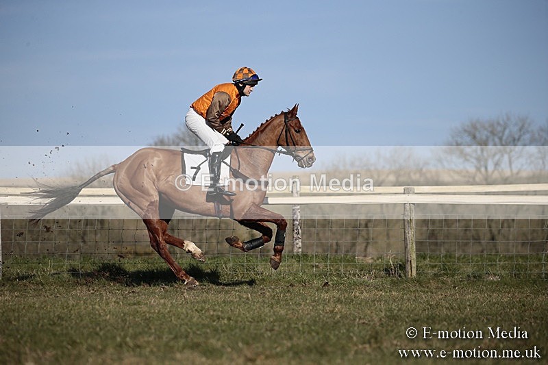 PtP 240218 464 - Vine & Craven Hunt Point-to-Point Barbury racecourse 24/02/18