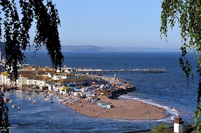 View of Teignmouth through the trees from Shaldon Botannic - Teignmouth and Shaldon