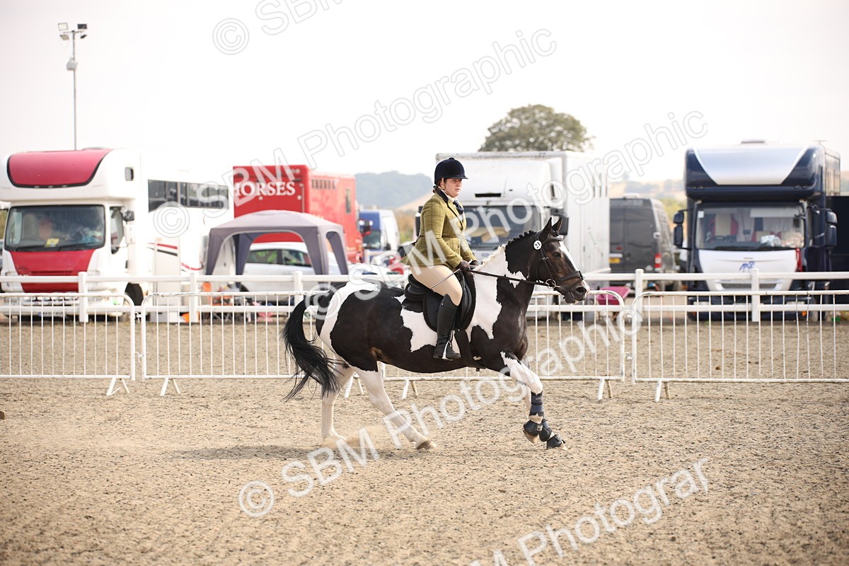 SBM_13604 - Class 406b - Working Veteran 50cm (20+)