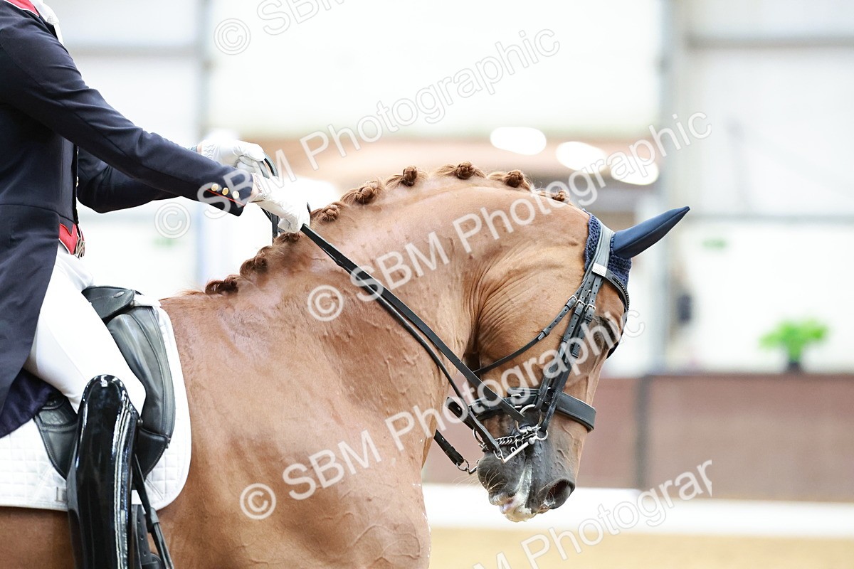 SBM_013678 - Class 3 - FEI PSG - 12.03-13.07