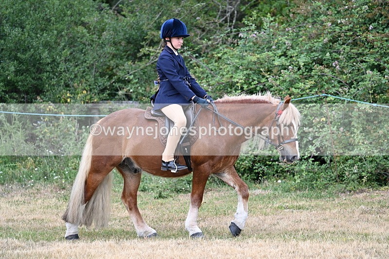 WJ7_0268 - Class 2 Best rider