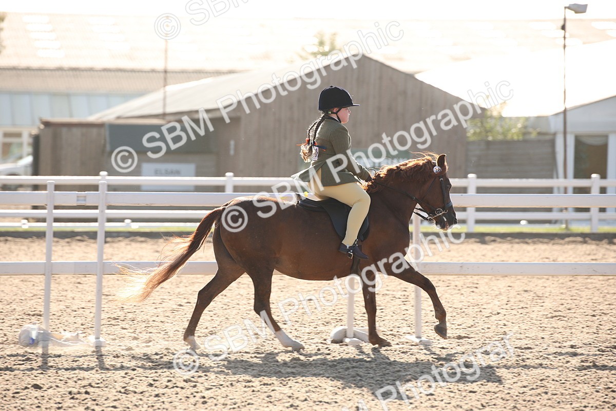 SBM_00627 - Class 14 Ridden M&M Wildcard