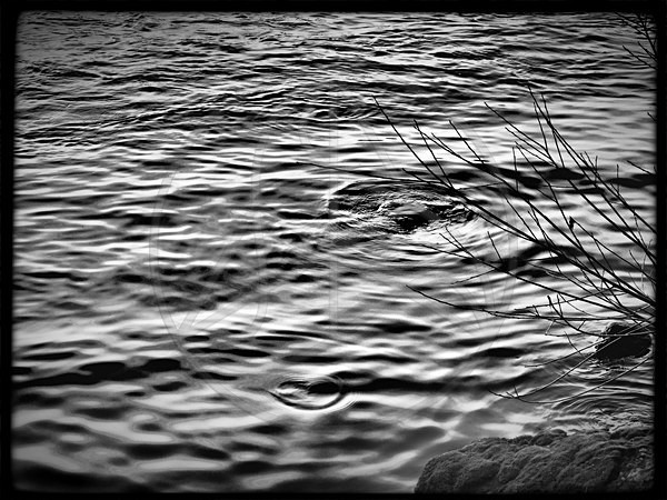 Mercurian_Waves - Everything Else