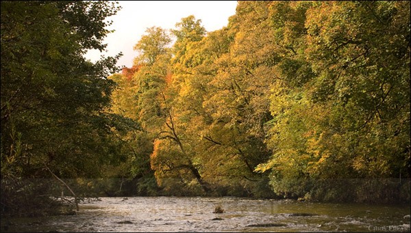 Autumn on the Scaur III - Scaur Valley