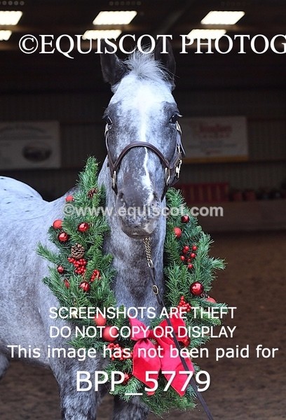 BPP_5779 - Marion West pony 2