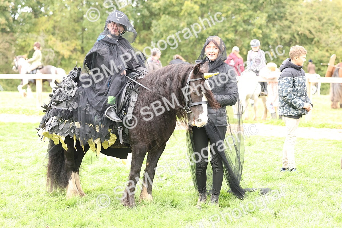 SBM_62190 - S37b - Best Unicorn