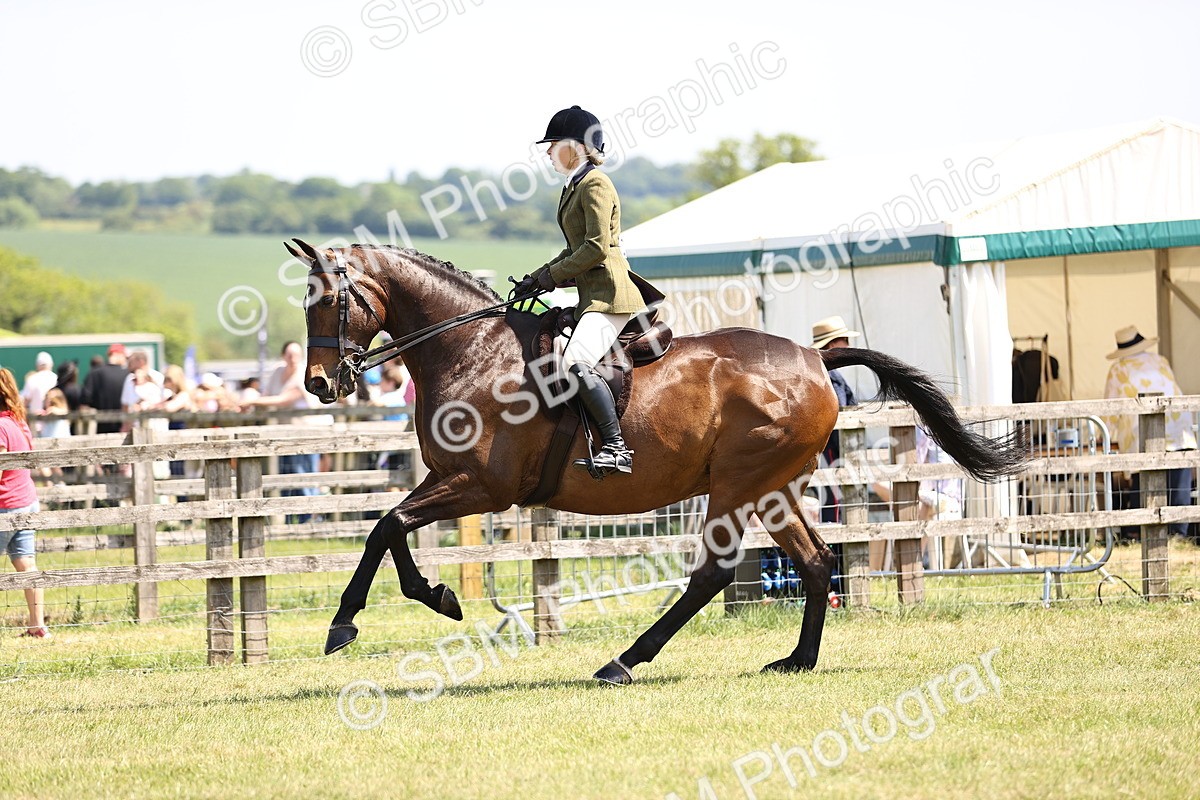 SBM_15146_Class 79 - 80 LIHS BSHA Rising Star Ridden Hunter - Jade M