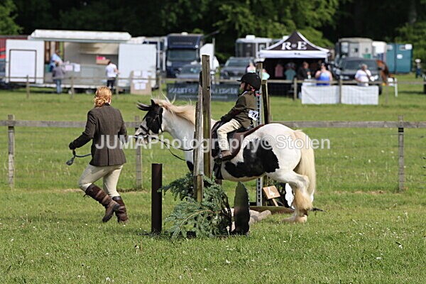 IMG_2200 - Working Hunter