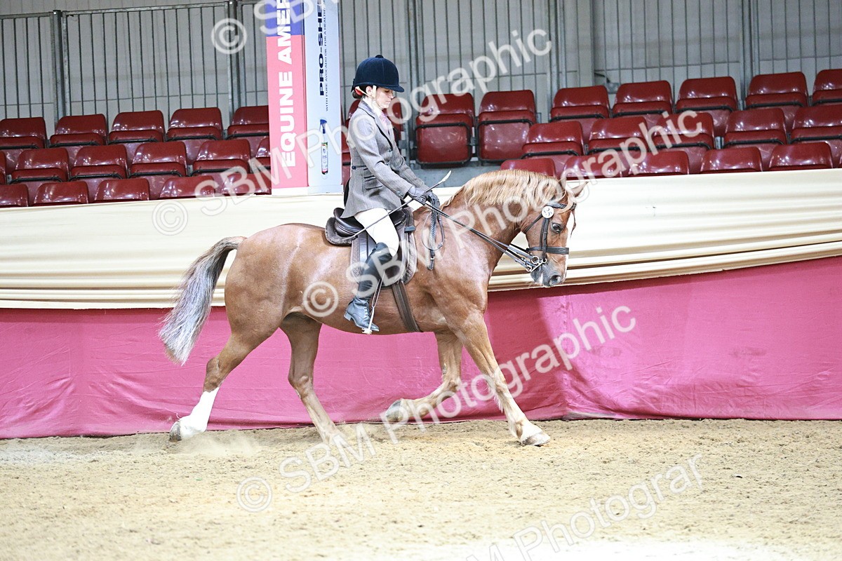 SBM_06990 - Class 10R - Regional Ridden Diamond