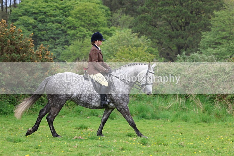 3E7A1751 - Class 9: Riding Club Horse/Pony