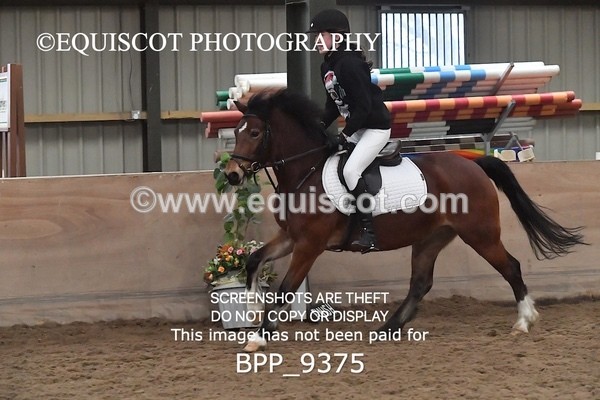 BPP_9375 - CLASS 5 60CM Progressive Show Jumping