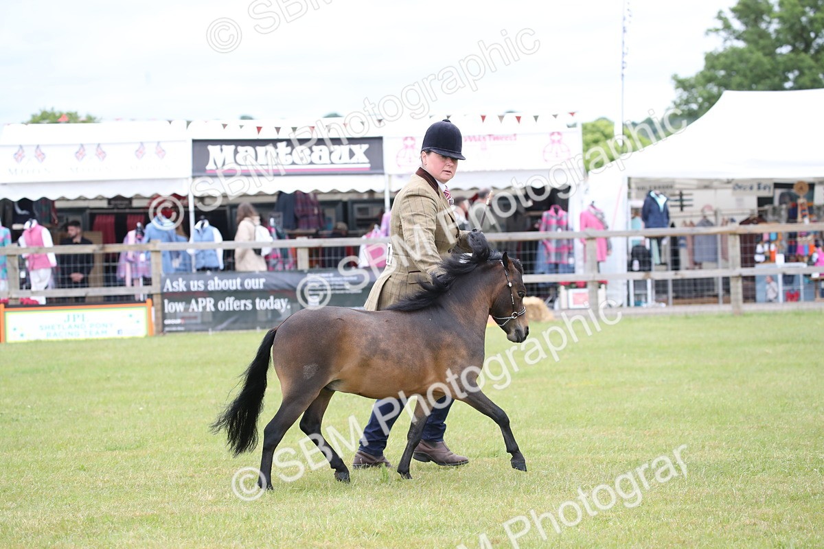 SBM_03512 - Class 23-25 - British Miniature Horse of the Year