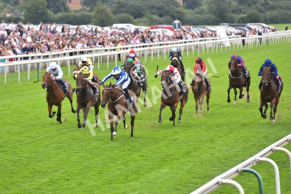 yr20082021r4-125 - Race 4 3.35pm Coolmore Wootton Bassett Nunthorpe Stakes (British Champions Series Race)