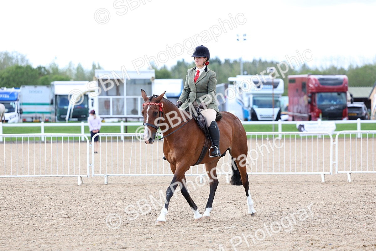 SBM_10096 - Class 304 - Ridden Part Bred Horse Pony