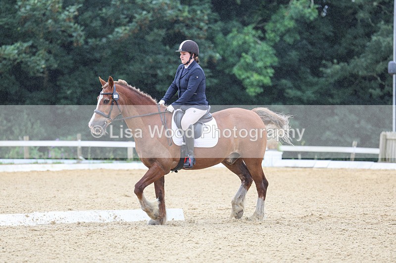 3E7A4751 - Class 1: Intro 4 2024 section A