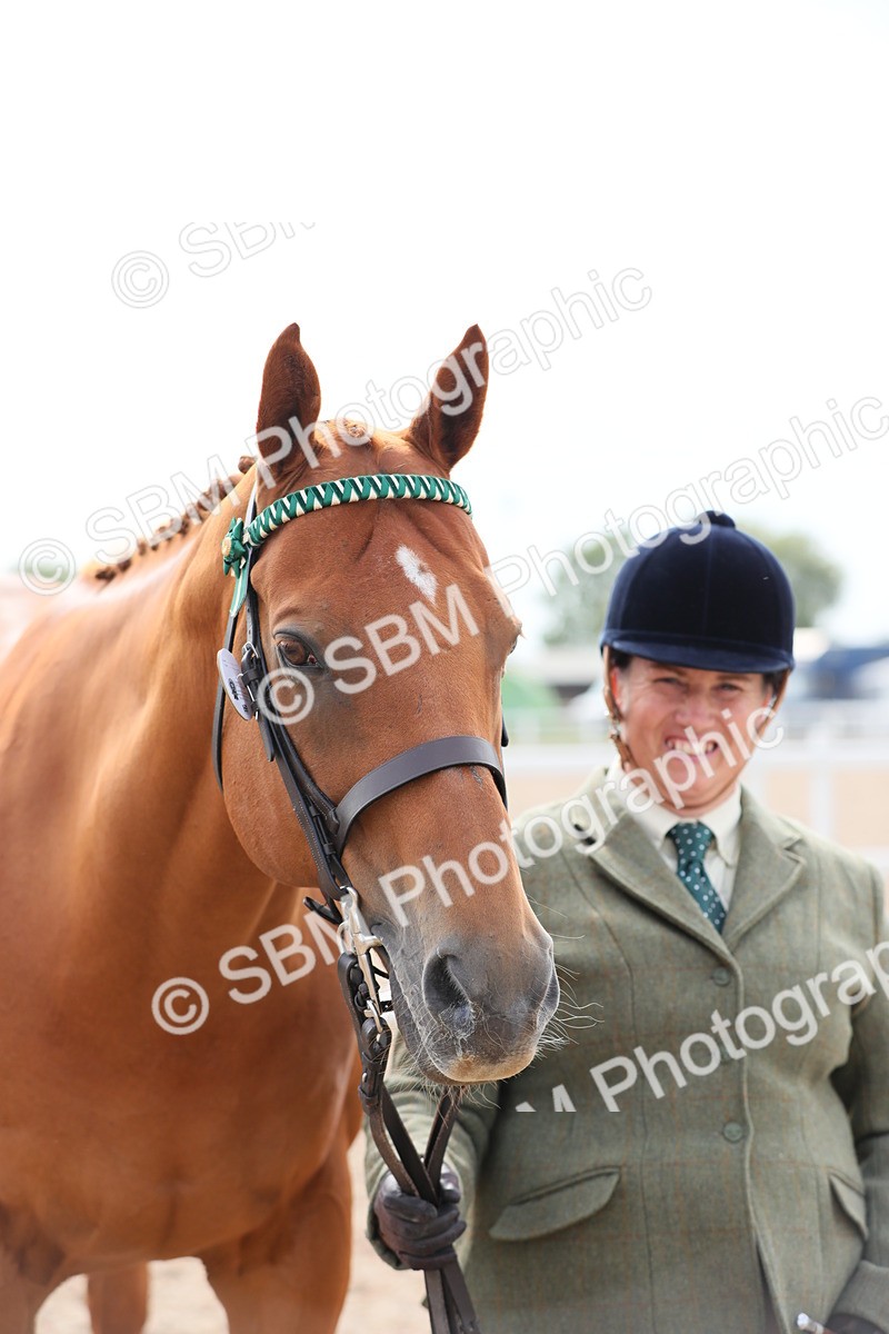 SBM_15955 - Class 313 IH Retired Racehorse