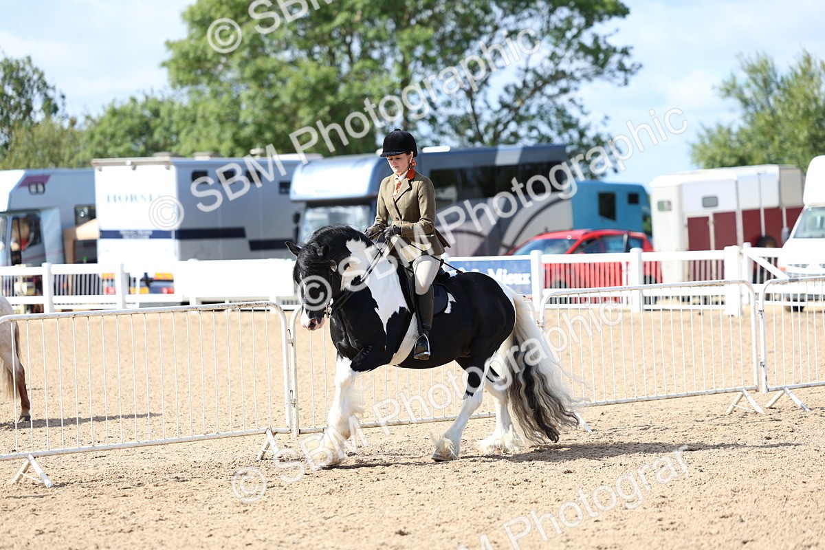 SBM_11387 - Class 307 - Ridden Coloured Pony