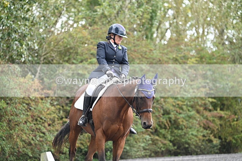 WJ7_5723 - Time 13:30 to 14:08