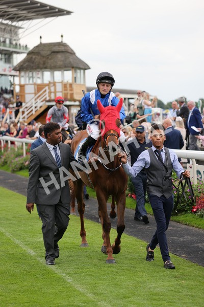 yr20082021r7-13 - Race 7 5.10pm Sky Bet Mile
