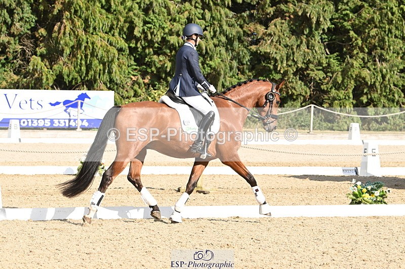 250808A-170427-02240 - Preliminary GOLD Presentations