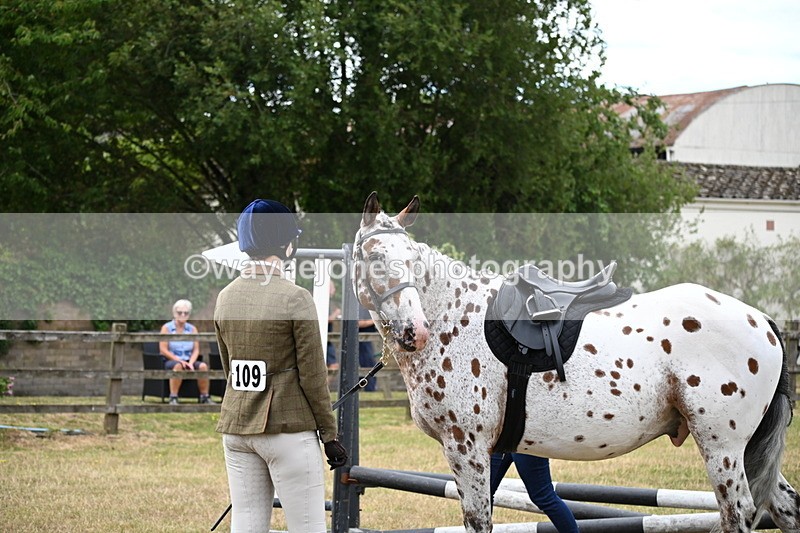 WJ6_3833 - Class 9 Tack & Turnout