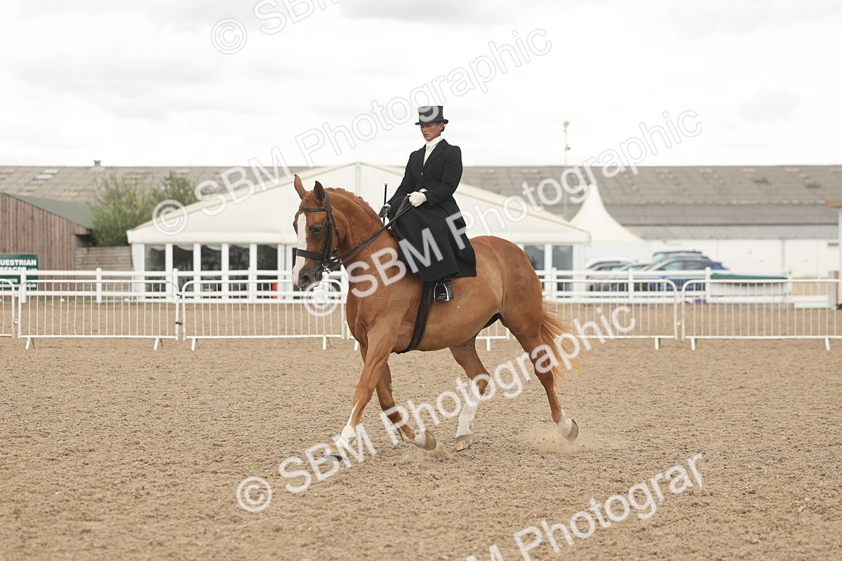 SBM_06324 - Class 23 - SSA - Classical