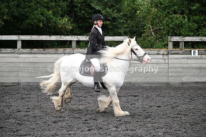 WJ6_0260 - Class 13 Novice 60cm