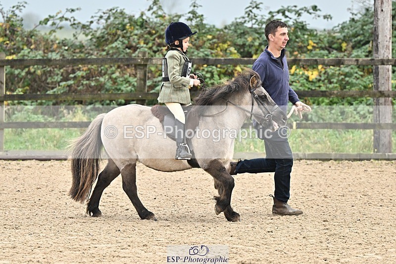 241110-102250-00280 - 40cm Showjumping