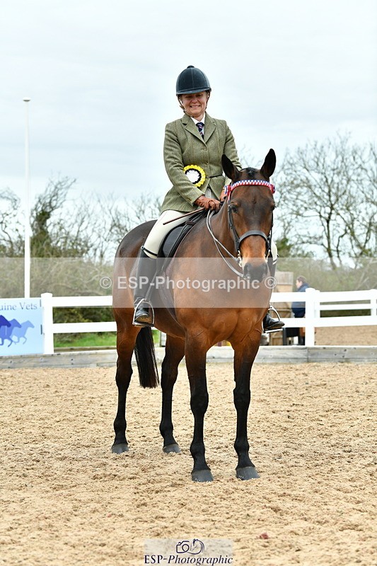 230416A-140054-04987 - Cls 60 Ridden Show Horse
