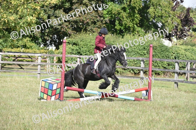 20250831-0437 - Class 7 - Absolute Novice 35cm