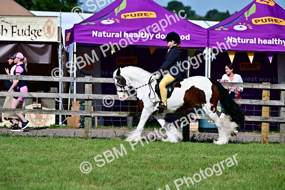 SBM_09408