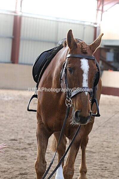 SIAL0878 - Indoor Classes