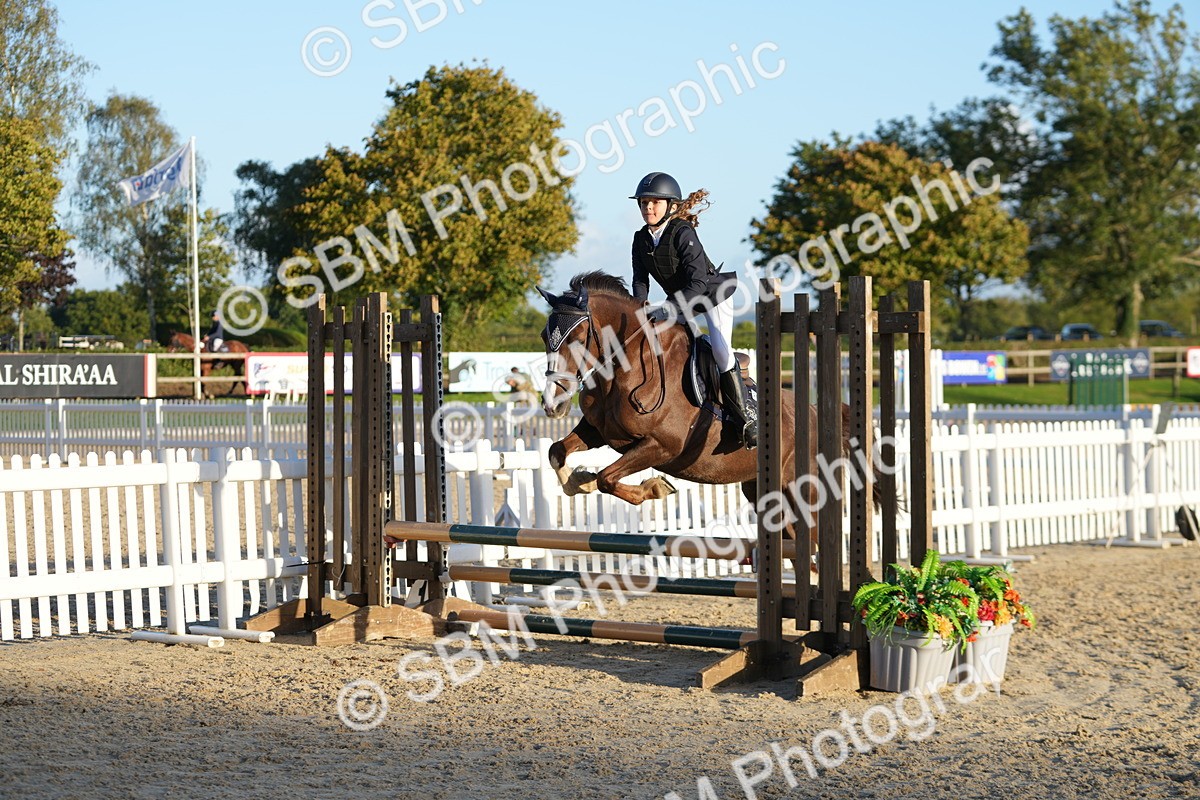 SBM_54127 - Supreme Championship 60cm 65cm