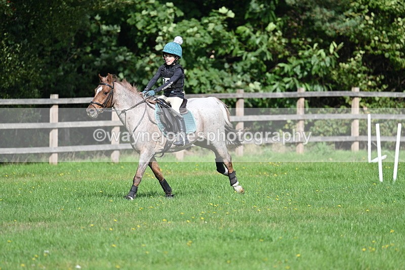 WJ7_5015 - 60cm Time 11:11 to 11:19