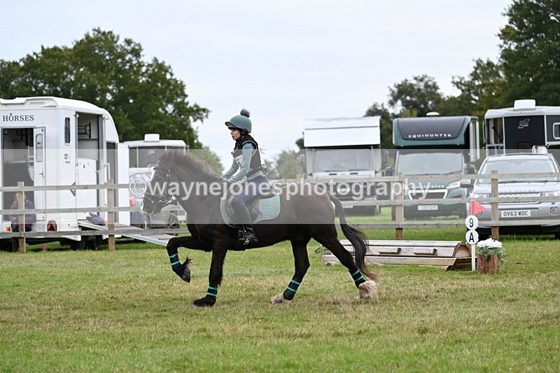 WJ7_7672 - 40cm Time 10:49 to 11:18