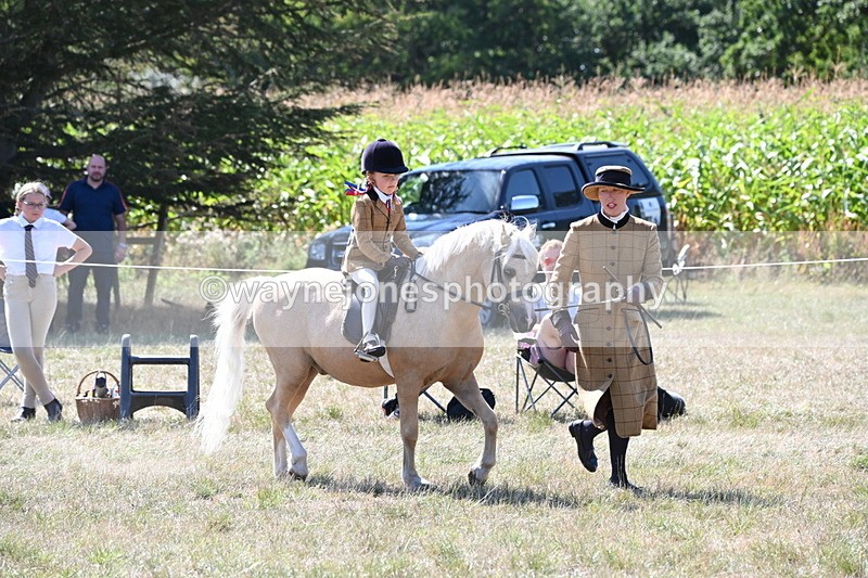 WJ6_8037 - Class 36 Lead Rein