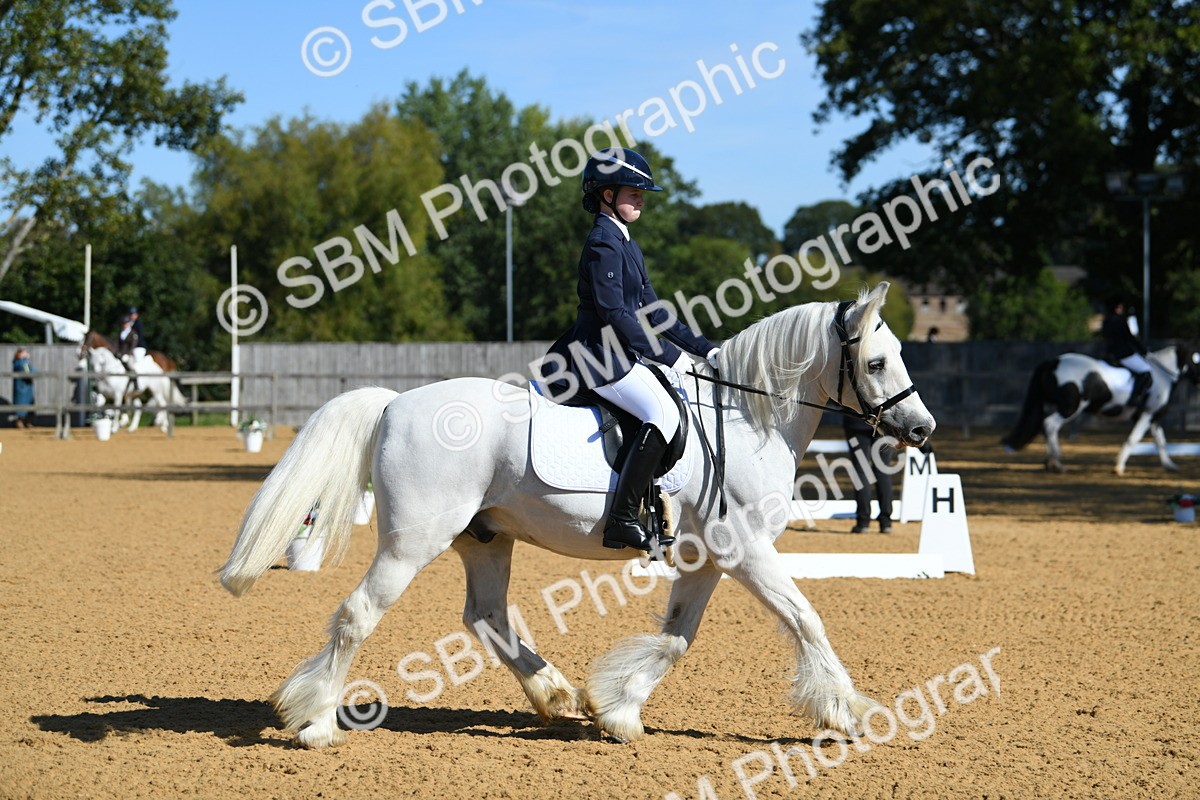 SBM_18095 - D4 - Small Tour Championship - Intro B