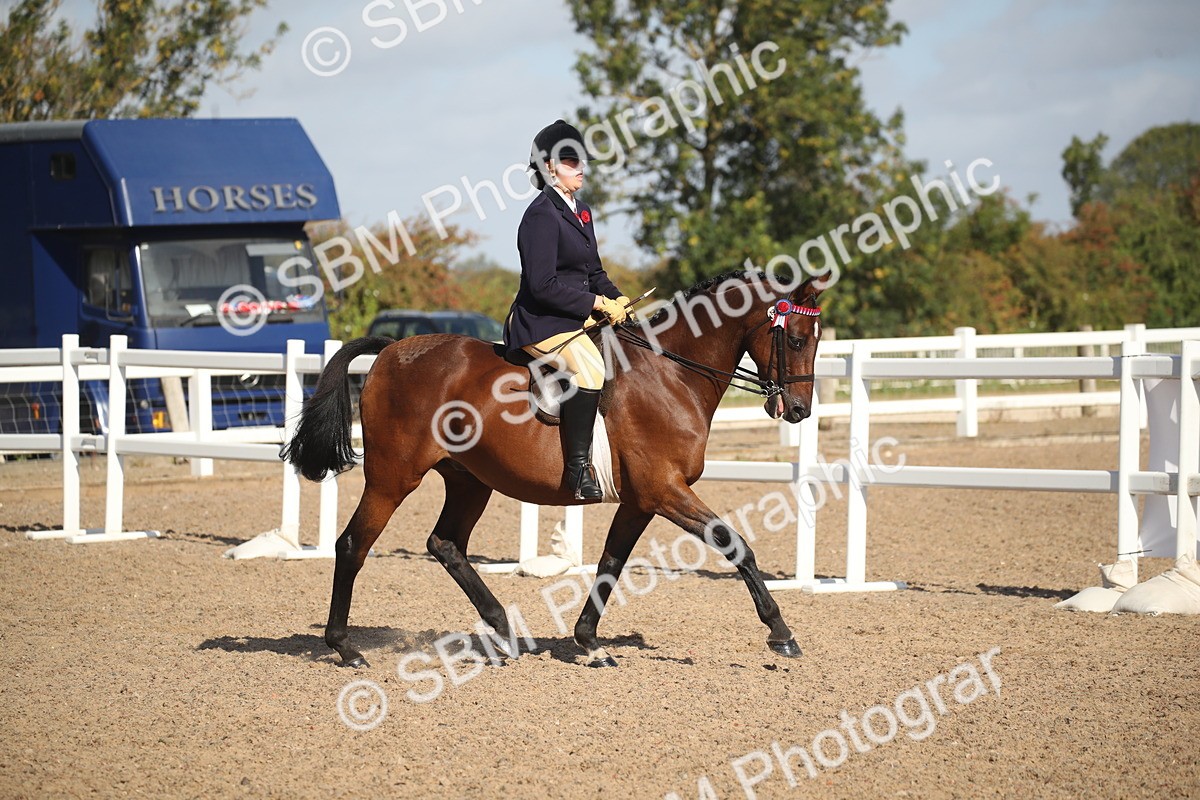 SBM_22756 - Class 602 - 2026 Area - Ridden Veteran