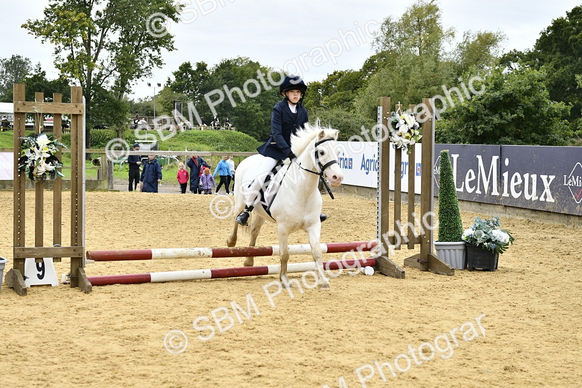 SBM_65451 - J2a mini Tour Junior Pony 30cm Championship